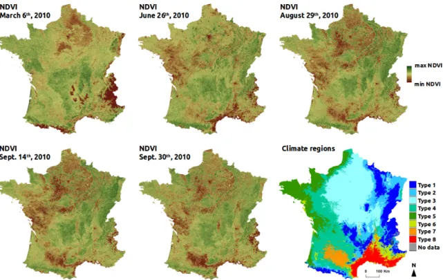 Figure 2. Image data used for the study: five NDVI 16-day-composit products at different time periods