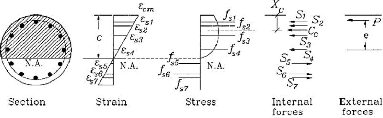 Figure 2-9 : Compatibilité des déformations et forces internes [Samra et al. 1996] 