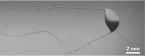 Fig. 5. Image of a 5- μL moving reactive droplet in complete wetting. It is