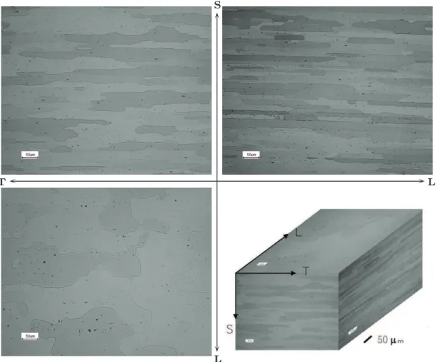 Figure 2.9: Optical micrographs of the AA2198-T3 2 mm-thick recrystallized material in TS, LS, LT planes and pseudo-3D grain structure