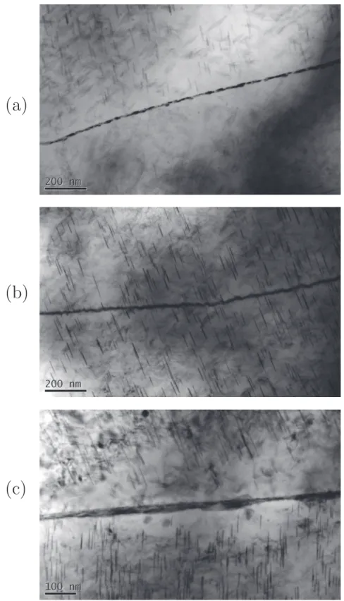 Figure 2.13: TEM investigation of artiﬁcially aged ﬁbrous material (T8F 6 ). (a) precipitates deco-