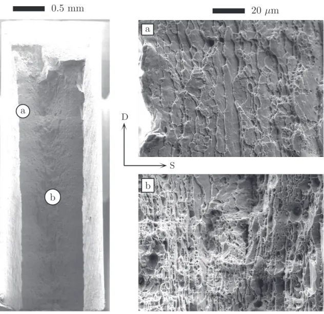 Figure 3.17: Smooth tensile specimen fracture surface of T8F 62 material in D-loading.