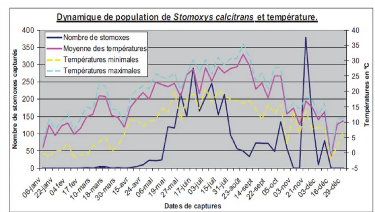 Figure  5:  dynamique  annuelle  de  la  population  de  S.  calcitrans  du  campus  de  l’ENVT  (Toulouse, France)
