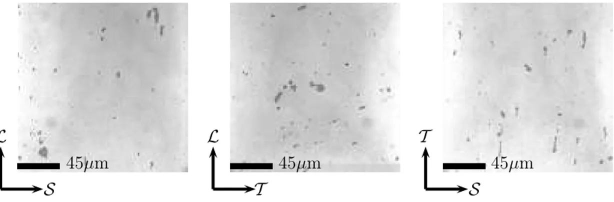 Figure 1.4: Micrographies, obtenues par MO, des précipités selon les trois plans de prélèvement.