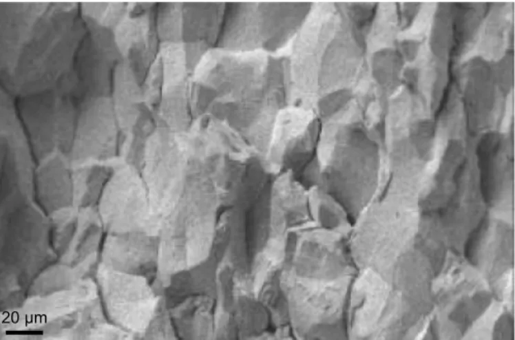 Figure 3.8 : Micrographie MEB d’une fracture intergranulaire de CSC de l’Alliage 600 en milieu  REP [GUE04] 