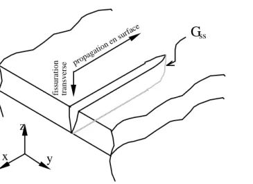 Figure II.4: extension à travers la protection et en régime stationnaire (steady-state), d’une fissure transverse dont la pointe a atteint l’interface.
