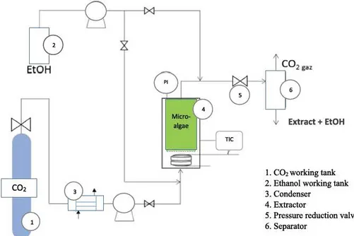 Fig. 1.  Description of the supercritical  carbon dioxide pilot. 