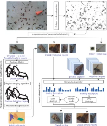 Fig. 2. Overview of the proposed approach. First, a robust contour detection is applied to detect the different contours in the input image