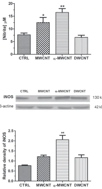 Fig. 3. a) NO production in primary microglial cultures treated with MWCNTs, a- a-MWCNTs and DWCNTs compared to untreated control cultures after 24 h treatment (* p < .05 and ** p < .01 vs CTRL)