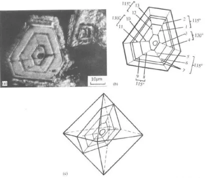 Fig. I.6 – Micrographie MEB d’un cristal de silicium octa´ edrique dans un alliage hyper- hyper-eutectique, traces de croissance concentrique, selon (Wang R.Y., Lu W.H., Hogan L.M., 1999).