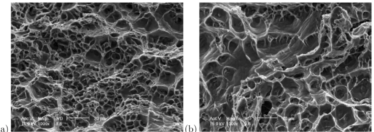 Fig. III.8 – (a) et (b) Vue des cupules de rupture ductile ` a 300 ◦ C sur l’AS7UG T7 ` a deux grandissements.