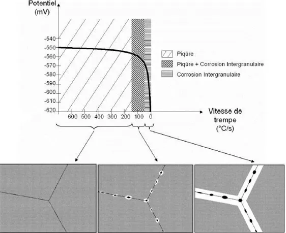 Figure 1-28 : Effet de la vitesse de trempe sur la sensibilité à la corrosion localisée [89]