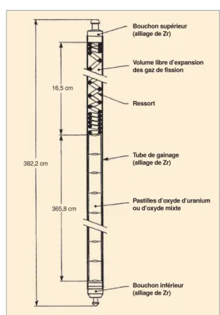 Figure I.3 – Schéma d’un crayon combus- combus-tible d’un réacteur à eau pressurisée avec les dimensions d’un réacteur 900 MWe