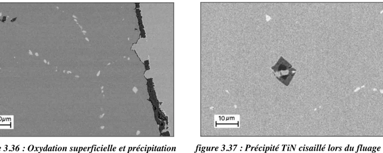 figure 3.36!: Oxydation superficielle et précipitation après fluage du matériau F17TNb, MEB