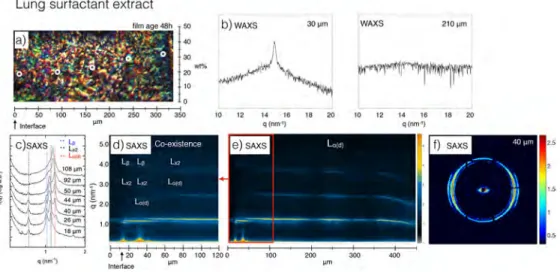 Figure 2 displays the scattering and microscopy data obtained for the clinical lung surfactant extract, using a relative humidity of 97% RH