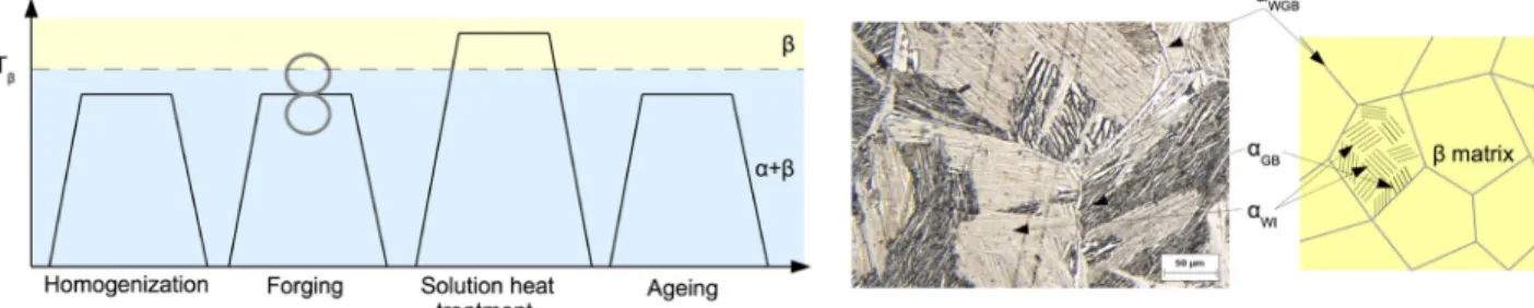 Fig. 2 Heat treatment of titanium alloy (a) and Ti64 b microstructure (b)