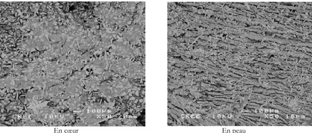 Figure 2-7 : Microstructure en peau et en cœur d'un produit AZS.  2.2.4   La retassure 