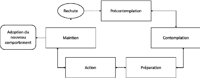 Figure 2.1 Modèle transthéorique du comportement (inspiré de : Prochaska et Diclemente, 1982, p.283) 