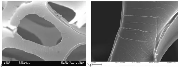 Figure .8 : Etat de surface de la mousse de polyur´ ethanne pr´ em´ etallis´ e : a) ensemble de brins (Badiche et al., 1999), b) brin (Goussery, 2004).