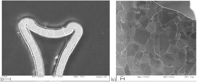 Figure .16 : Taille de grains : a) section d’un brin (Goussery, 2004), b) int´ erieur d’un brin de nickel.