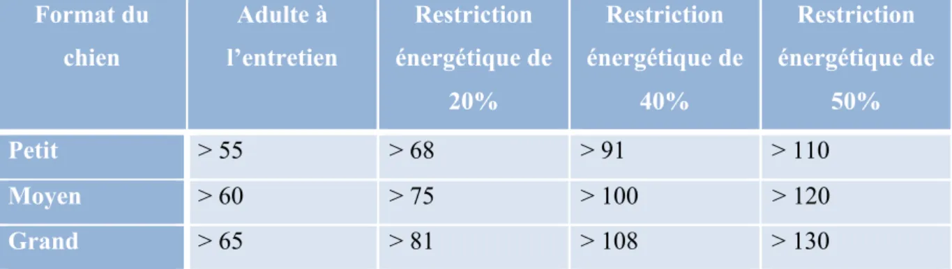 Tableau 1 : Besoin protéique en fonction du format du chien et de la restriction  énergétique (17) 