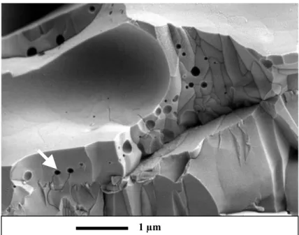 Figure III.2: Fractographie MEB d’un dépôt (poudre Al 2 O 3 [-25 +10 µm], mode APS, distance de 