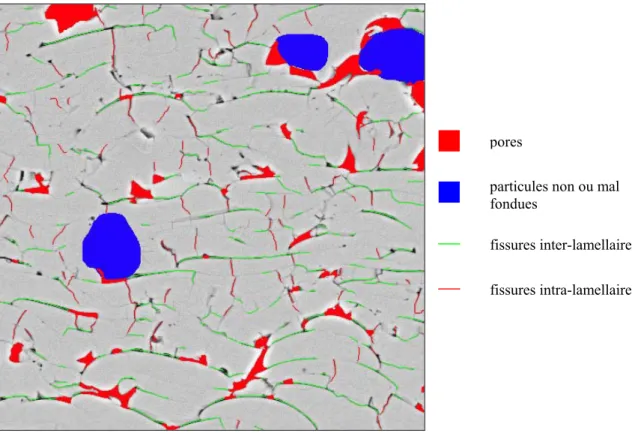 Figure II.16 : Défauts de la microstructure de dépôts plasma détectés par analyse d’image