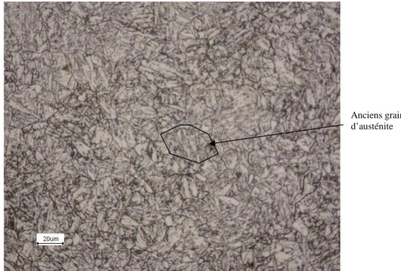 Figure 3-3 : Observation en microscopie optique de la microstructure du métal de base 