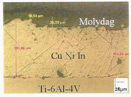 Figure I.3 : Cross section of the blade’s contact surface: shot peened Ti6Al4V surface, CuNiIn layer and Molydag solid lubricant (Fridrici, 2002)