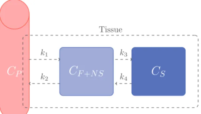 Fig.  1. Configuration of the classic three-compartment kinetic model used in many  imaging studies