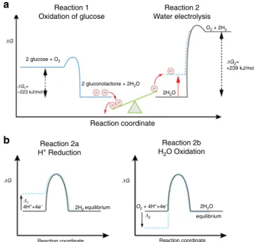 Fig. 1 Energetics of the uphill reaction principle. a The exergonic glucose oxidation does not provide enough energy to directly drive the electrolysis of water, because the difference in ΔG of the two reactions is positive