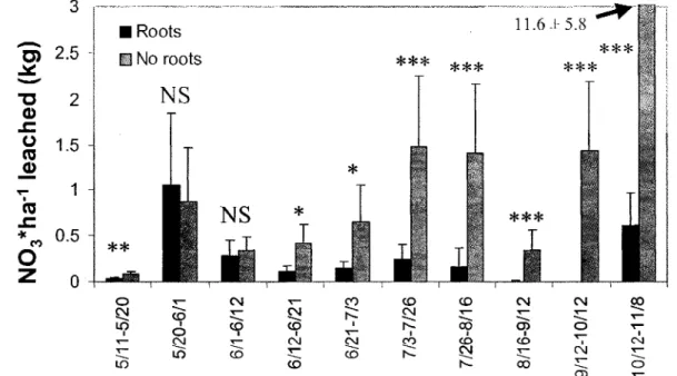 Fig. 5: Average N0 3 *ha~' leached per sampling step (n=18) in trench vs. non-trench plots