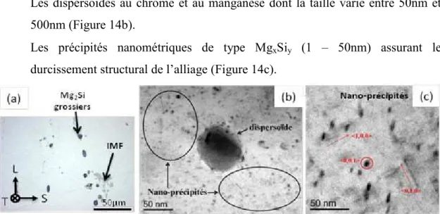 Figure 14 : Observation de la microstructure à différentes échelles. a) précipités Mg 2 Si 