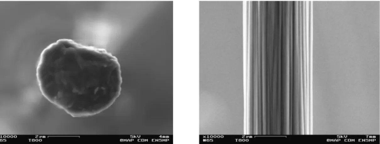 Figure II-8 : Section et surface d'une fibre M40J  b)  Essais de traction sur monofilaments 