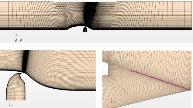 Fig. 3 Sketch of the 2D structured grid, with the monitored source term region highlighted in magenta.