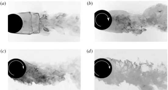Figure 23 shows instantaneous hydrogen-bubble flow visualisation images for the elastically mounted rotating sphere in the equatorial plane for U ∗ = 6 (Mode I) at