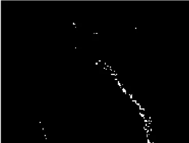 Fig. 5. Detection of anatomical structures using the proposed color model.