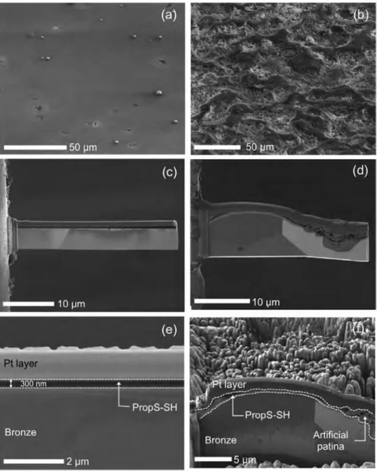 Fig. 1.  SEM observation of PropS-SH coatings on quinary bronze substrate. Left-hand side (a, c, e): bare bronze/Right-hand side (b, d, f): patinated bronze