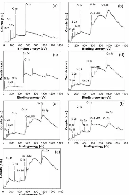 Fig. 4.  XPS surveys of PropS-SH layer on: (a) ZrN. (b) Cu. (c) Sn, (d) CuSSn, (e) bare quinary bronze, (f) patinated quinary bronze and (g) uncoated bare quinary bronze (BQ),  (thin coatings in (b), (c), (d) and (e))