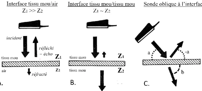Figure  11  :  Réflexion  et  réfraction  du  faisceau  incident  à  différentes  interfaces  entre  des  milieux  d’impédance Z