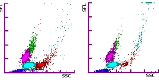 Figure 6 : L’extension du nuage de points des granulocytes éosinophiles vers le haut et vers la  droite peut avoir une continuité ou non avec le nuage des globules rouges non lysés