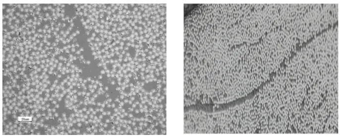 Figure 49 : Observations en microscopie optique de la section polie des matériaux aprés élaboration :  Carbostamp TM  PA 12 à gauche (x50) Carbostamp TM  PA 6 à droite (x20) 