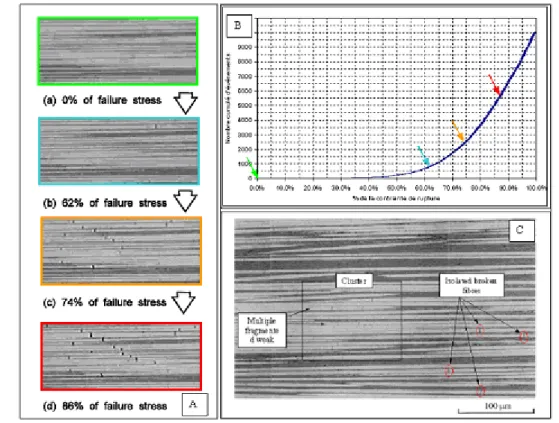 Figure 32 : Illustration de l'endommagement par rupture de fibres de la séquence [0 5 ]  [8] ,  