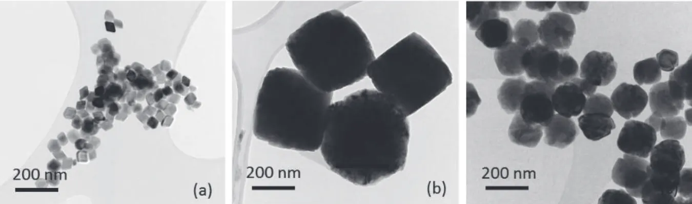 Figure 24: Images de nanoparticules de α-Fe 2 O 3  enregistrées au MET. Trois types de morphologie ont été 