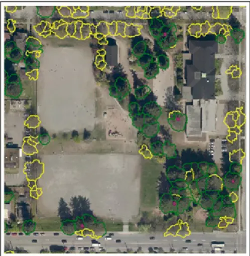 Figure 2. Exemple de carte des couronnes des arbres dans la ville de Vancouver tiré de Matasci et 