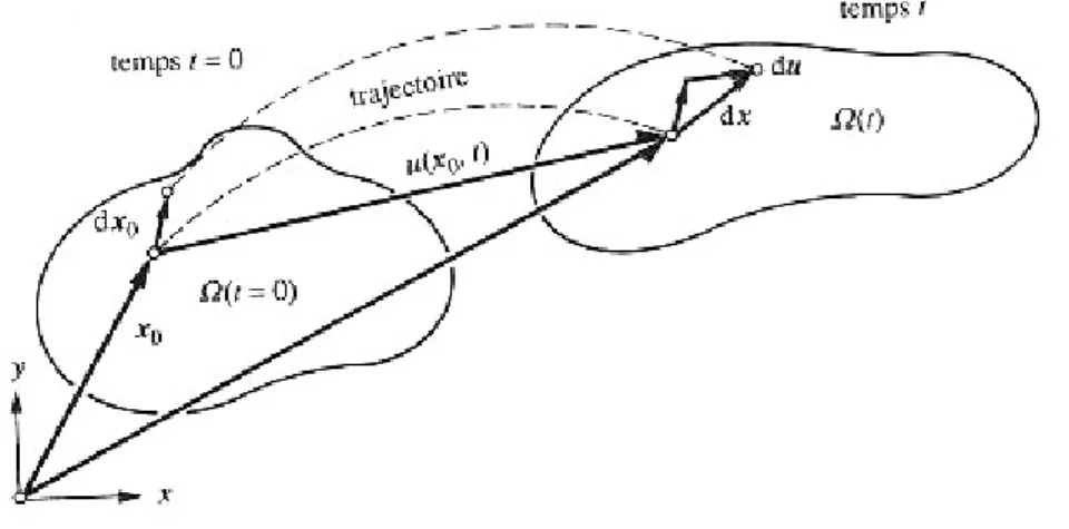 Figure 14 : Representation bidimentionnelle des déplacements au cours de la  déformation [RAP 98] 