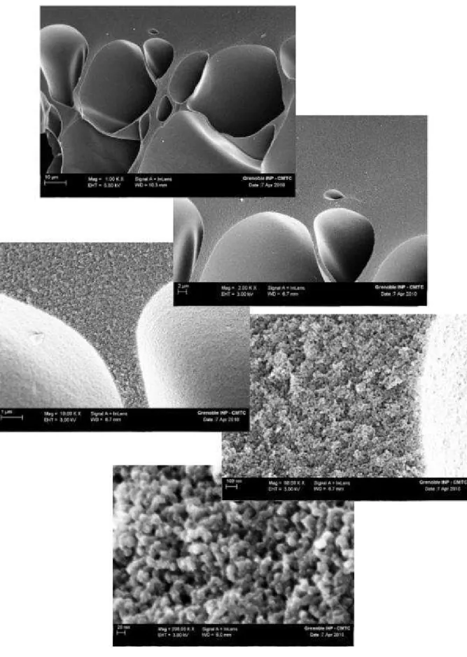 Figure III-6: SEM of the bulk of CAB CA sample 10-0.2-0.25DA pyrolyzed at 1000°C in N 2