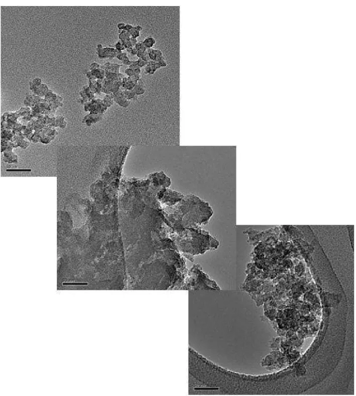 Figure III-7: TEM of carbon aerogel sample 15-0.2-1DA pyrolyzed at 1000°C in N 2  (courtesy of Dr