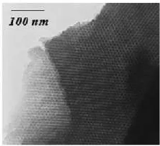 Figure I-11: TEM image of a template carbon using silica as template and pitch as carbon source [Vix 2005]