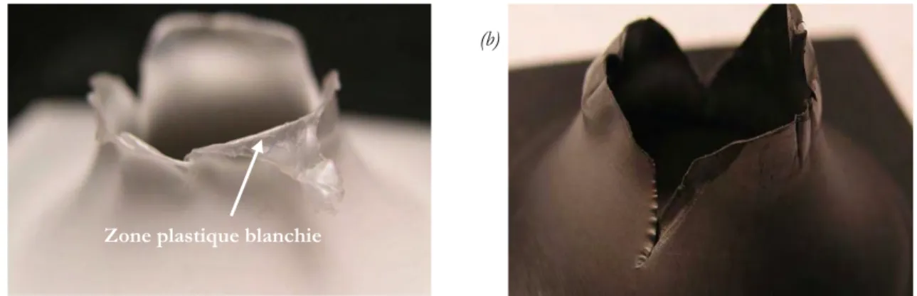 Fig. I-24 Faciès de rupture des échantillons impactés du BA238G9 (a) et du BMT222 (b)                                                         à 3 m/s et à température ambiante